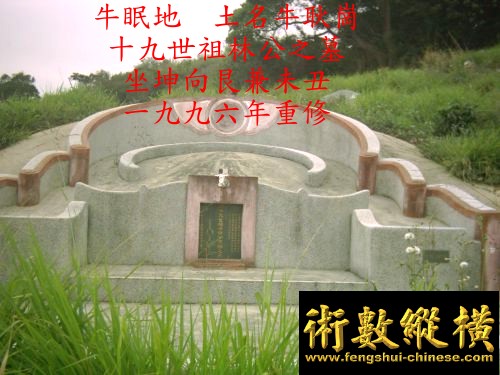 10_107.jpg