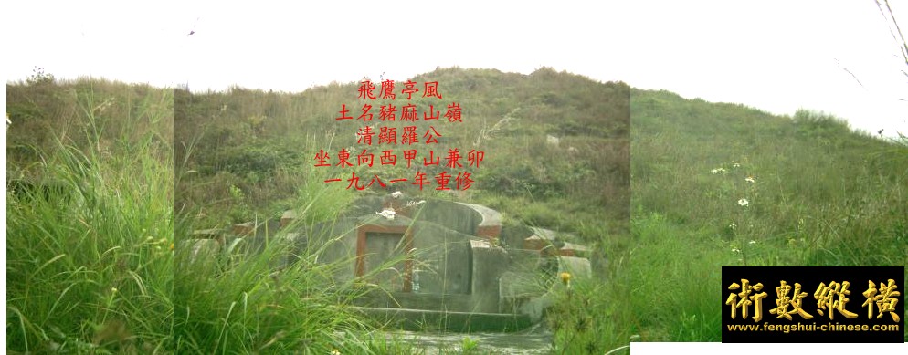 10_122.jpg