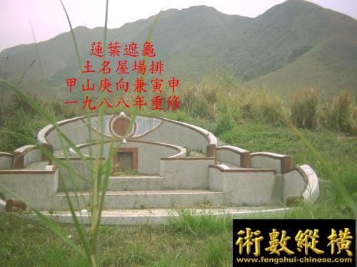 10_140.jpg