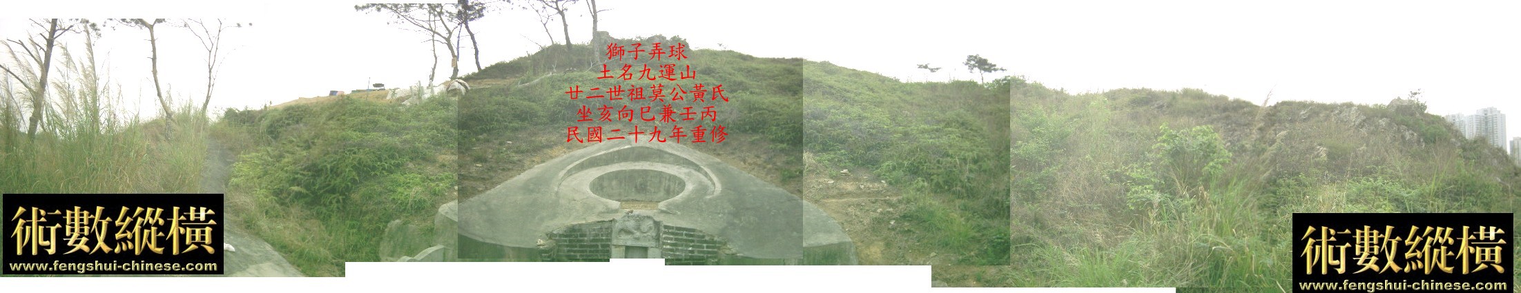 10_142.jpg