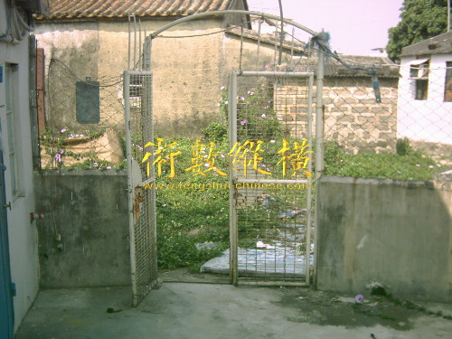 11_6_11.jpg