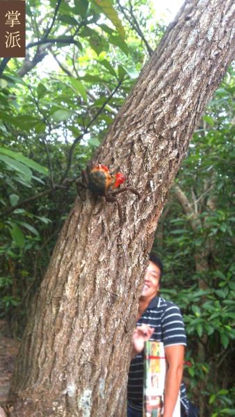 IMG_6122.jpeg