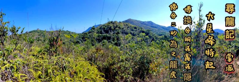 IMG_6375.jpeg