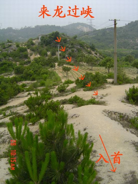 8_110_6.jpg