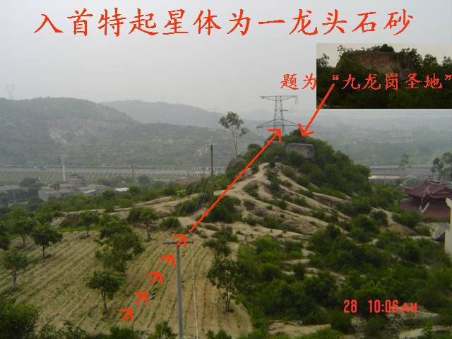 8_110_7.jpg