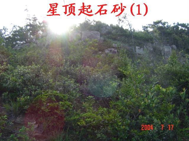 8_115_26.jpg