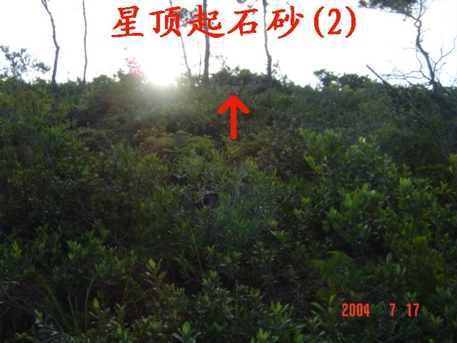 8_115_27.jpg