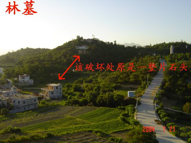 8_129_11.jpg