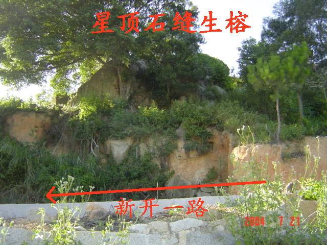8_129_13.jpg