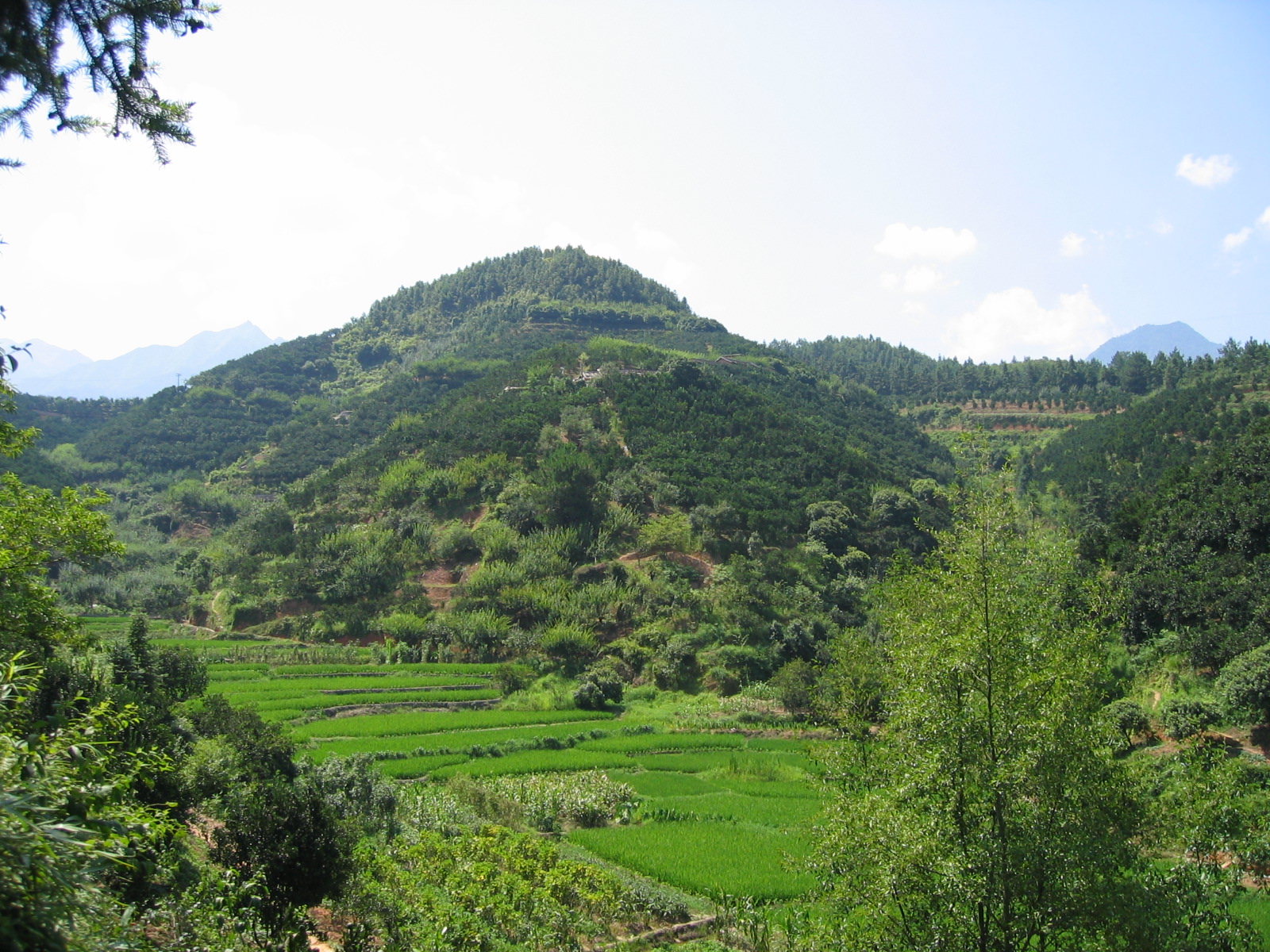 8_134.jpg
