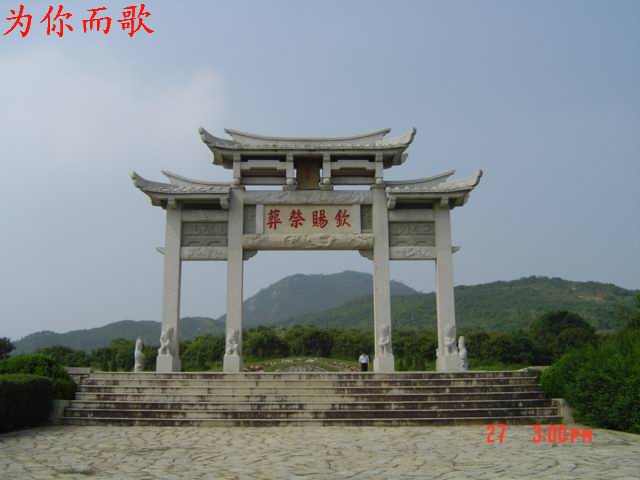 8_141.jpg