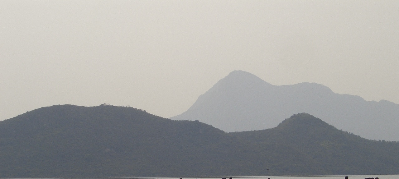 8_23.jpg