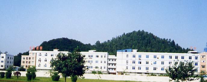 8_230_7.jpg