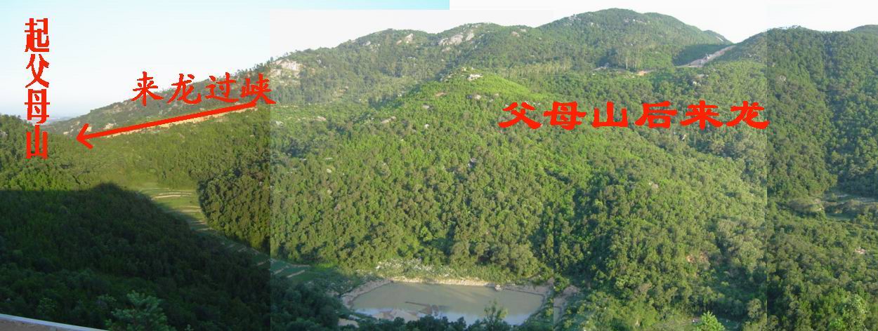 8_243_1.jpg