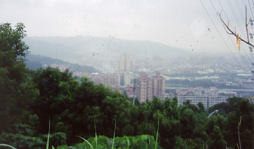 8_255_13.jpg