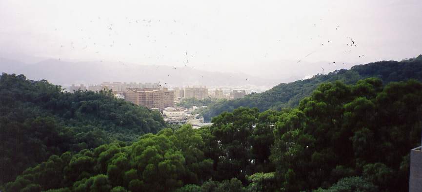 8_255_20.jpg