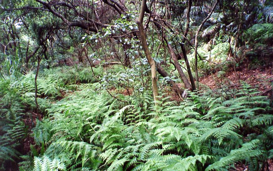 8_255_24.jpg