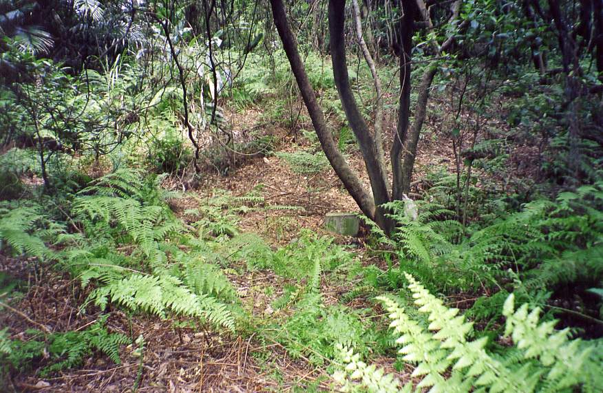 8_255_26.jpg
