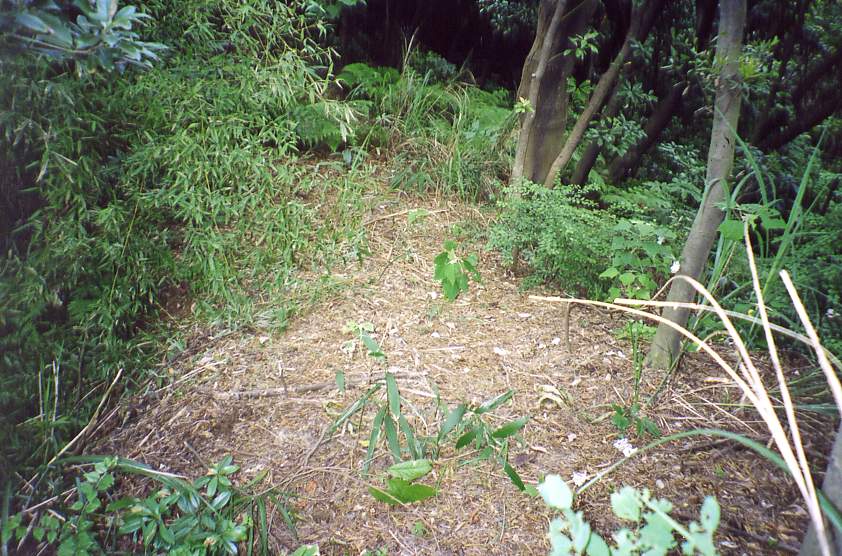 8_257_4.jpg