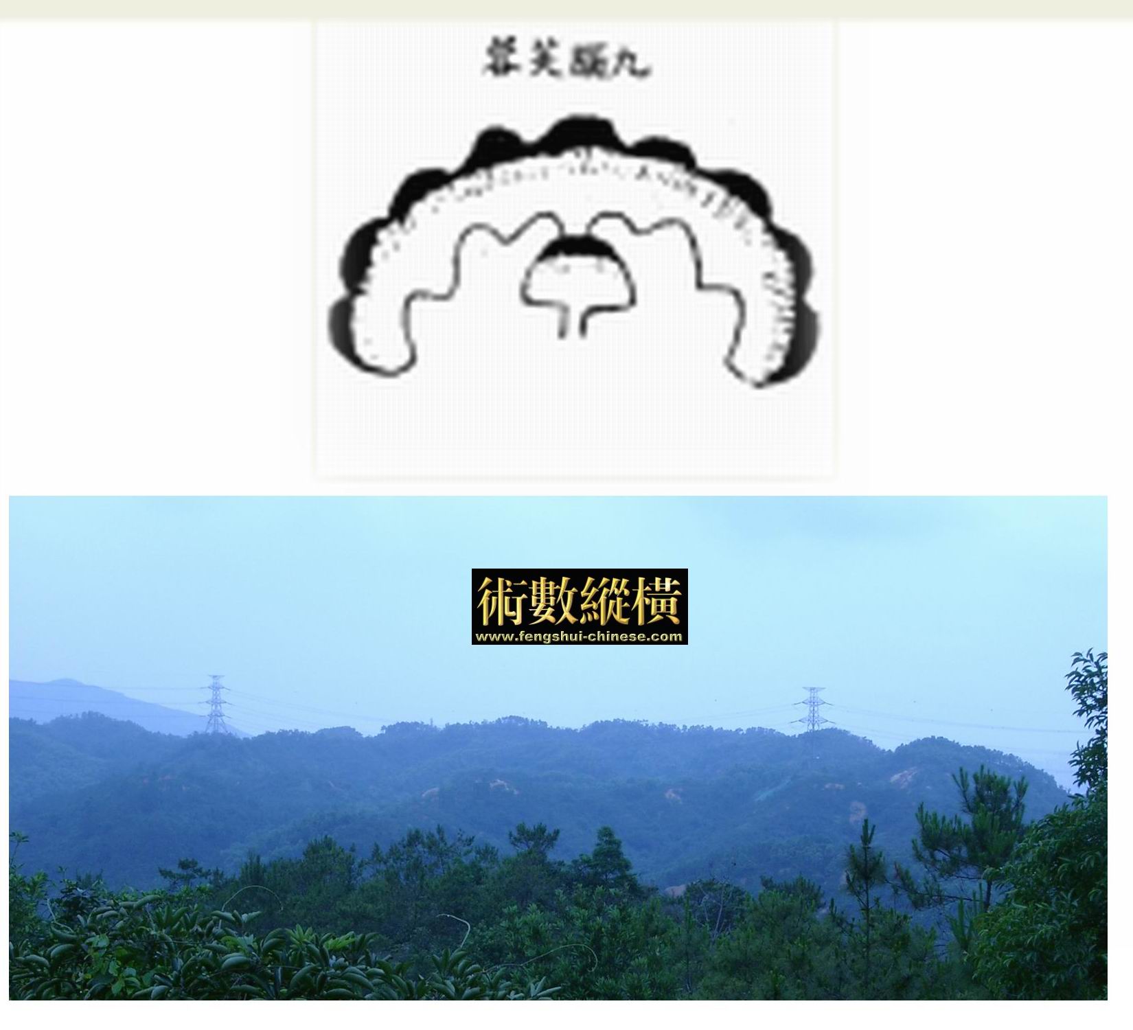 8_75.jpg