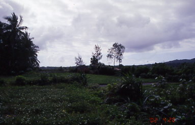 8_86_6.jpg
