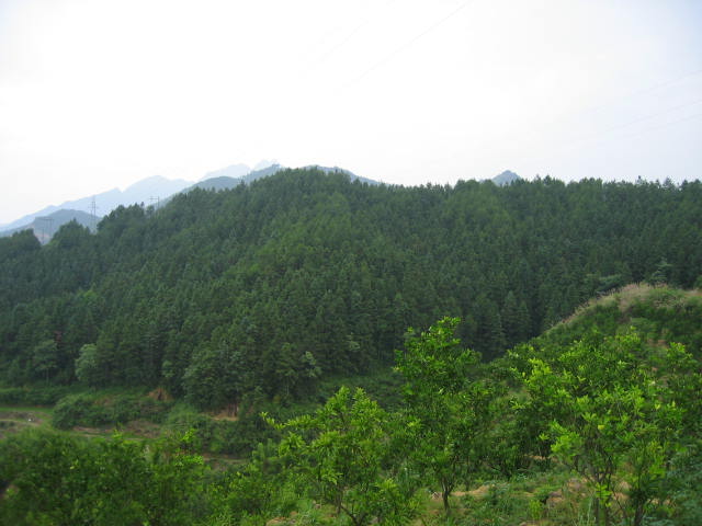 8_96_14.jpg