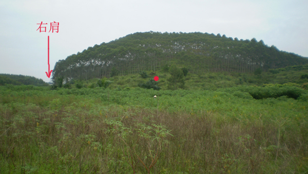 02P1010003.jpg