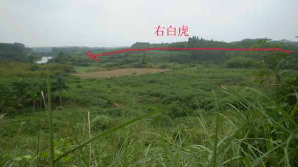 04P1010007.jpg