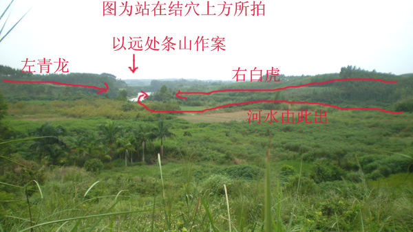 05P1010005.jpg