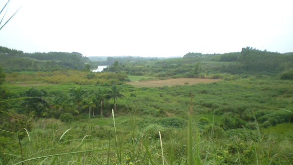 06P1010005.jpg