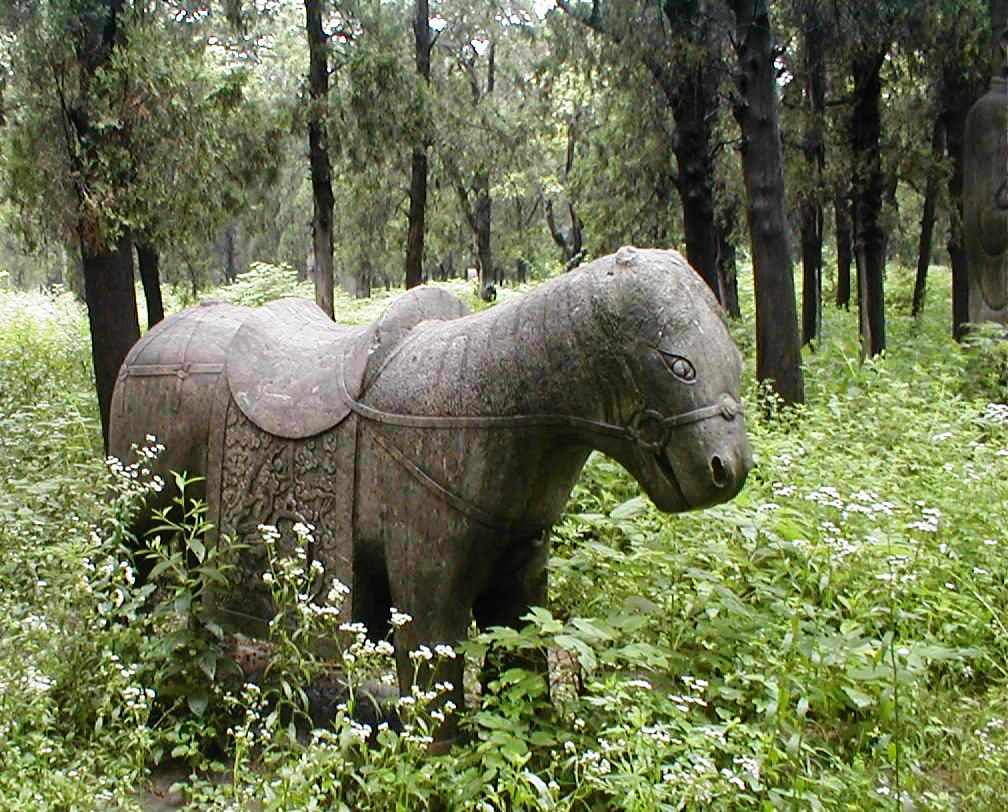 10423029.jpg