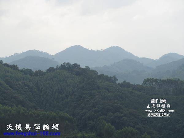 122349yocgy51eyf3o11yn.jpg