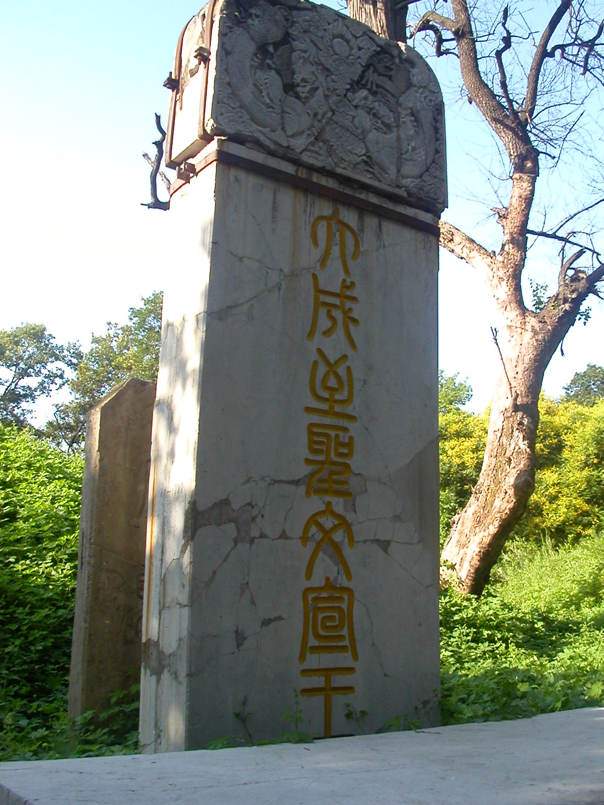 17604362.jpg