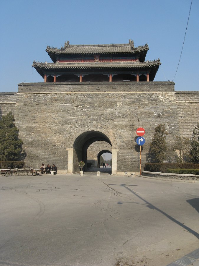 19264037.jpg
