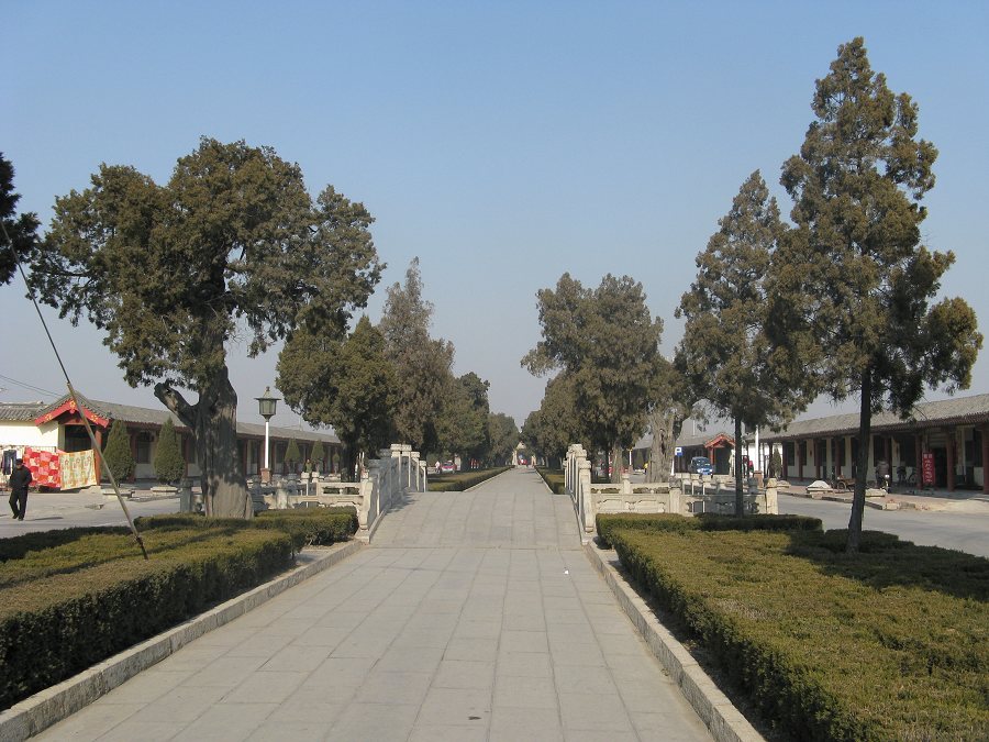 19264063.jpg