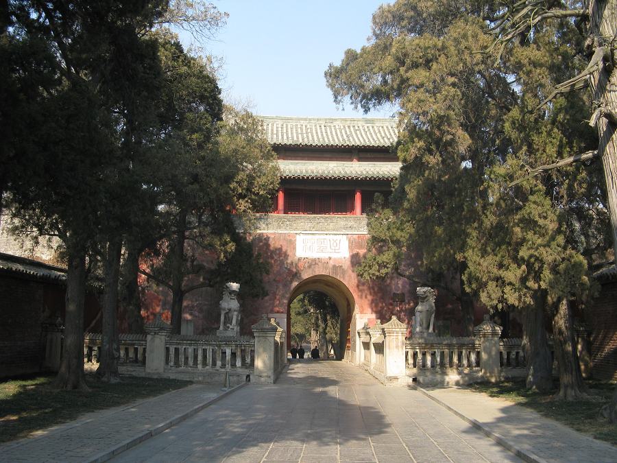 19264141.jpg
