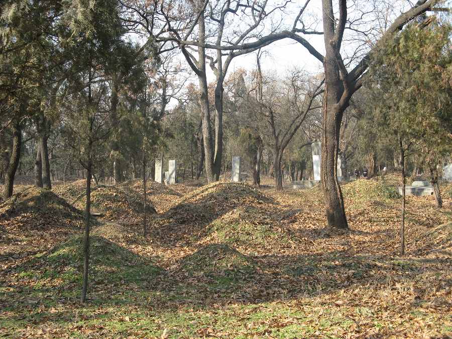 19413248.jpg