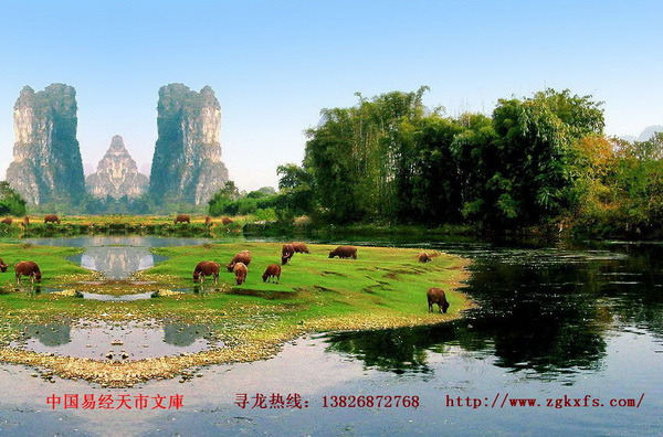20101105233622331.jpg