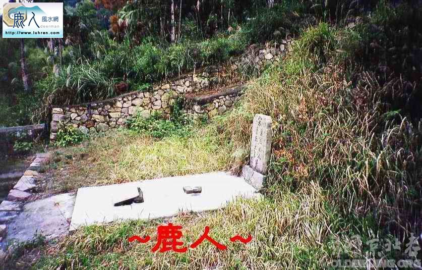 側看_翼國夫人墓...