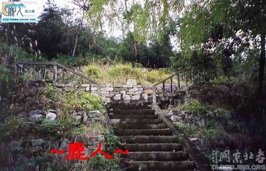 欲登階梯看墓園...