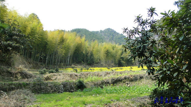 外虎山