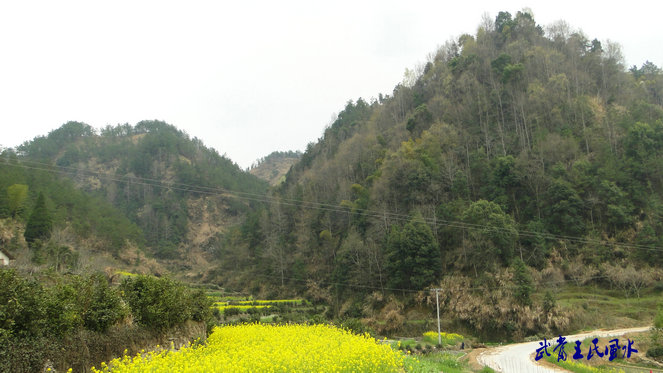 龙砂