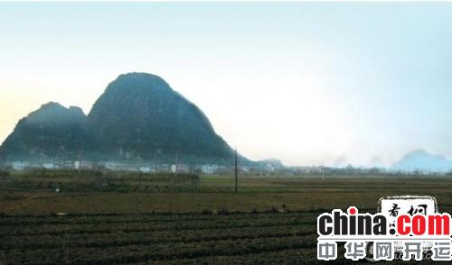 骆驼进宝