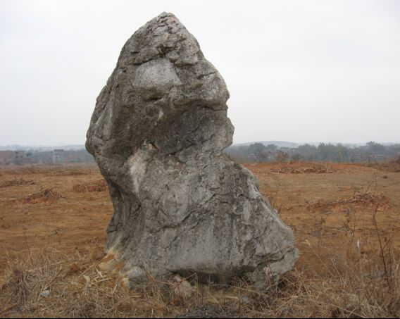 55.jpg