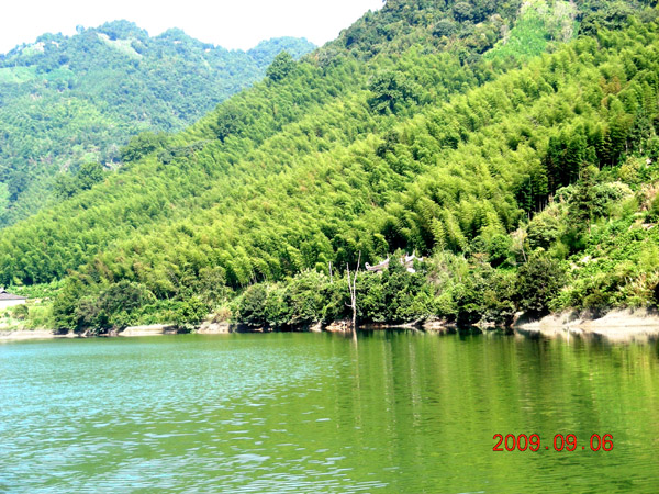 58cd2012a359efd1c3ce79a4.jpg