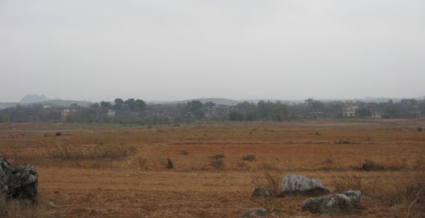 77.jpg