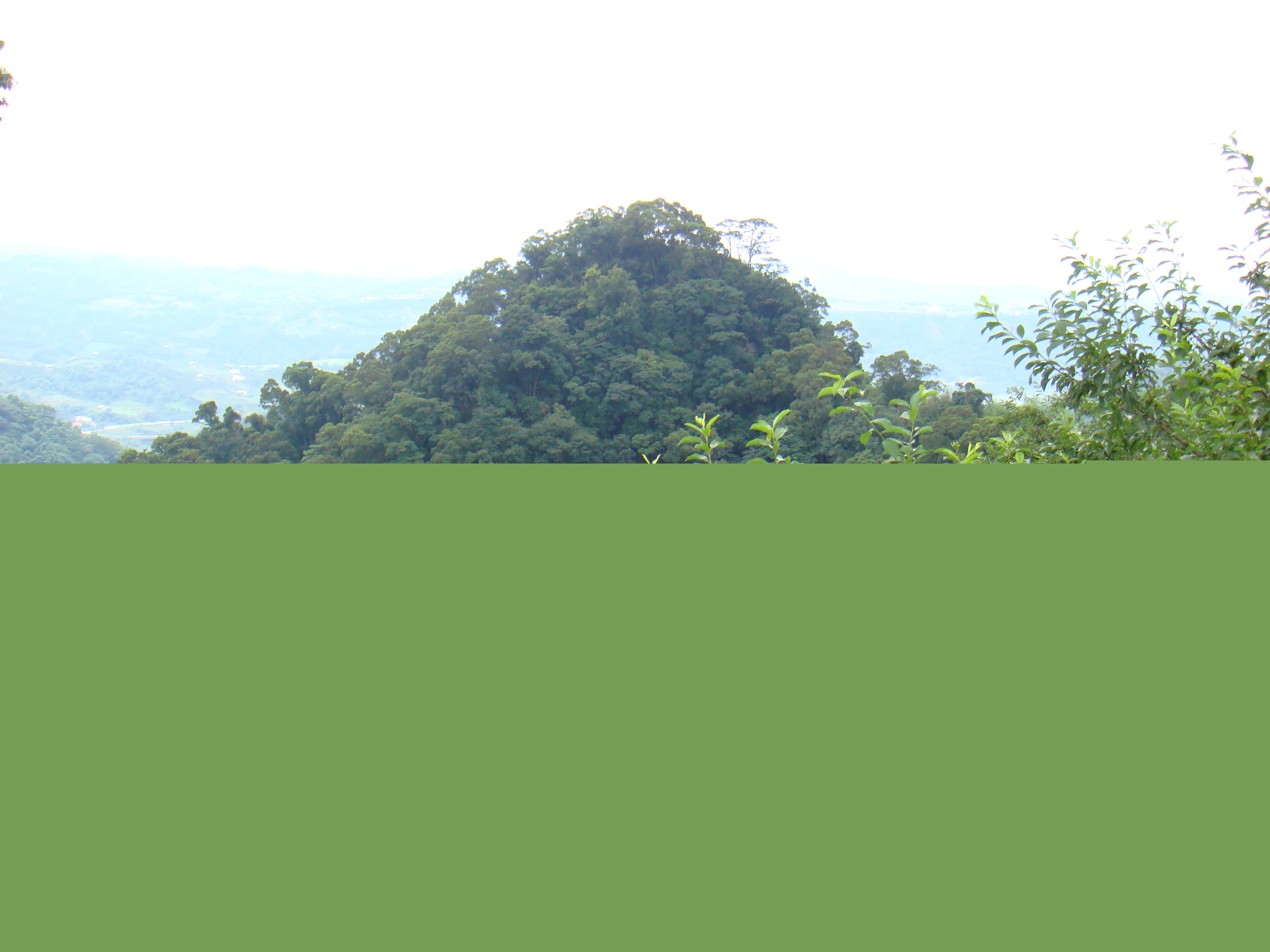 秀一張文筆峰