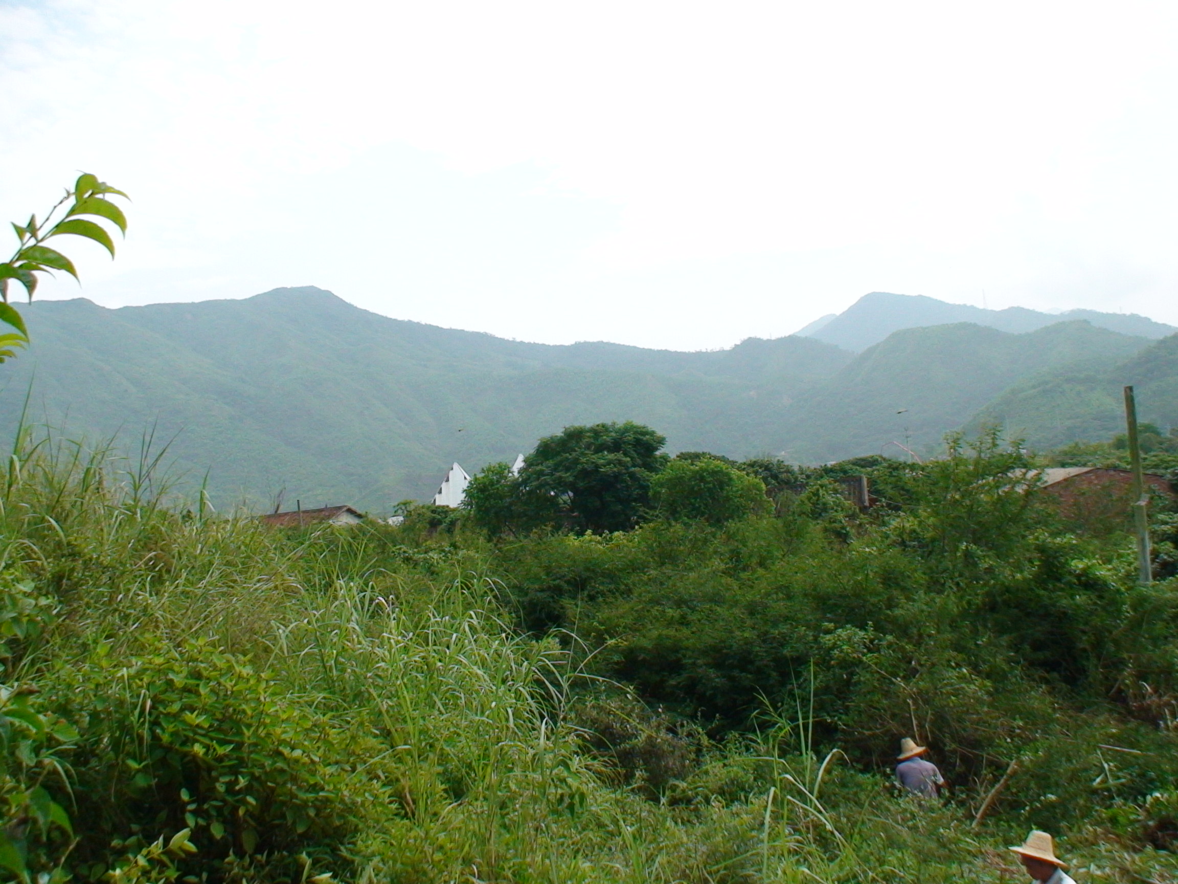 DSC00141.JPG
