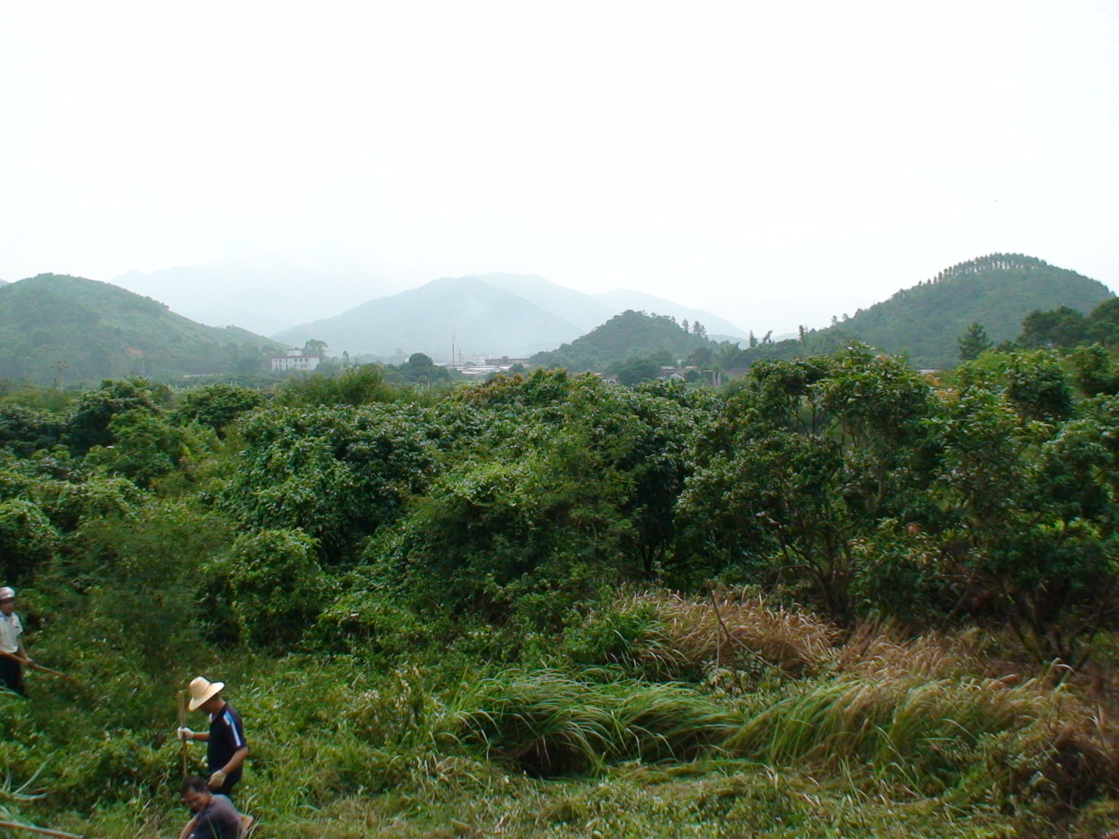 DSC00143.JPG