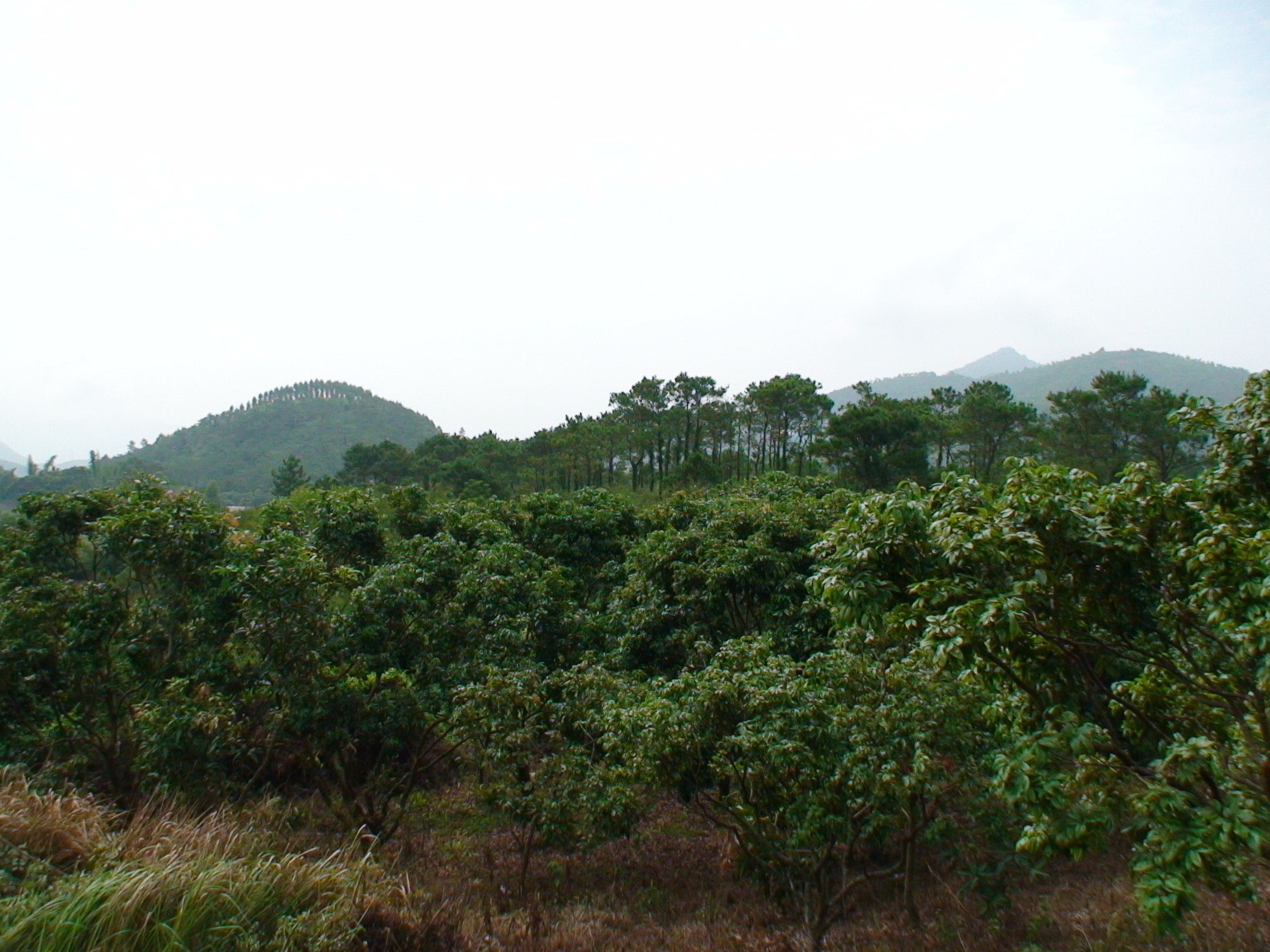 DSC00144.JPG